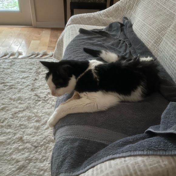 It’s been 1 year Farewell My Love, my best friend of 20yr s - Picture 2 of 9